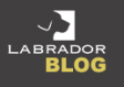 Labrador blog